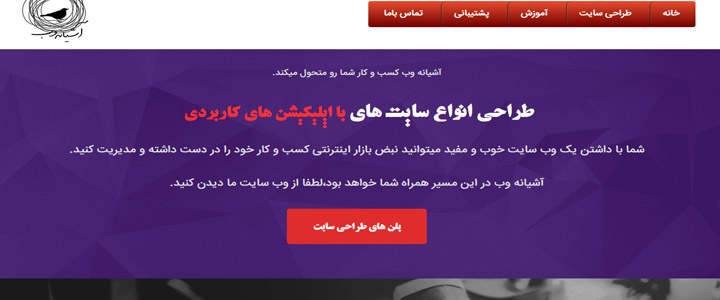 شرکت طراحی سایت,طراحی سایت اشیانه,طراحی سایت در تهران